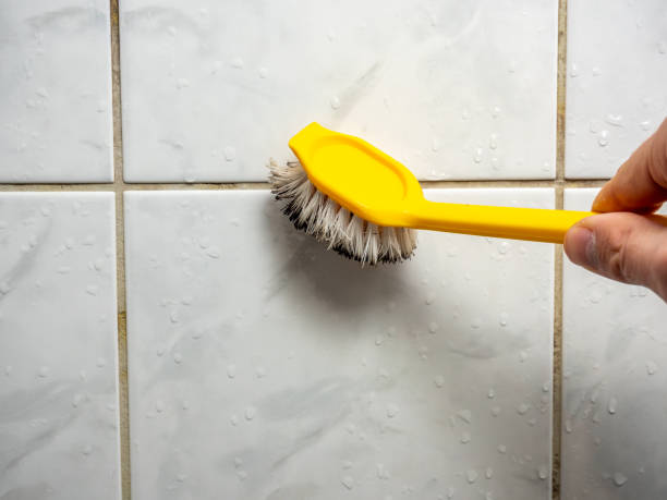 Best Local Mold Removal Service  in Humble, TX