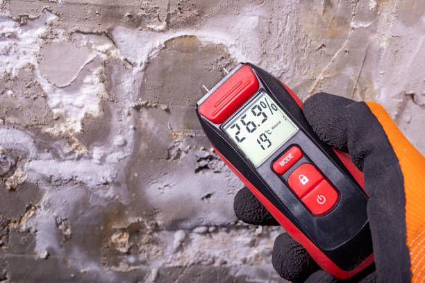 Best Certified Mold Removal  in Humble, TX