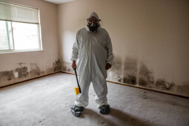 Best Fast Mold Removal  in Humble, TX